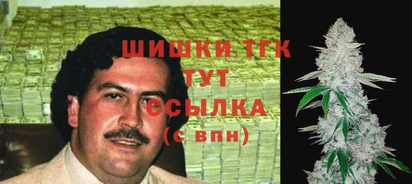 мдпв Волосово